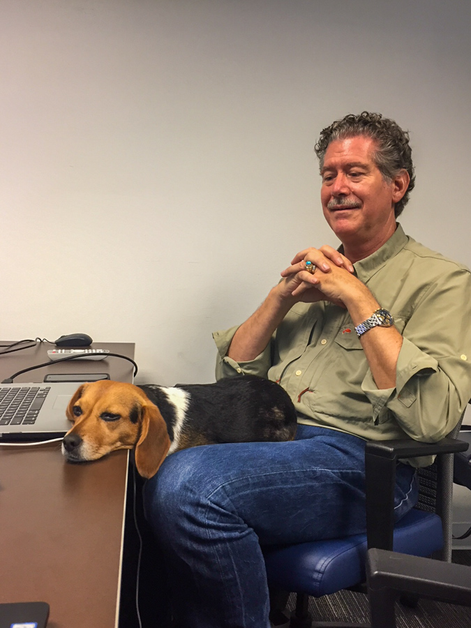 Office Pup in Austin, Texas