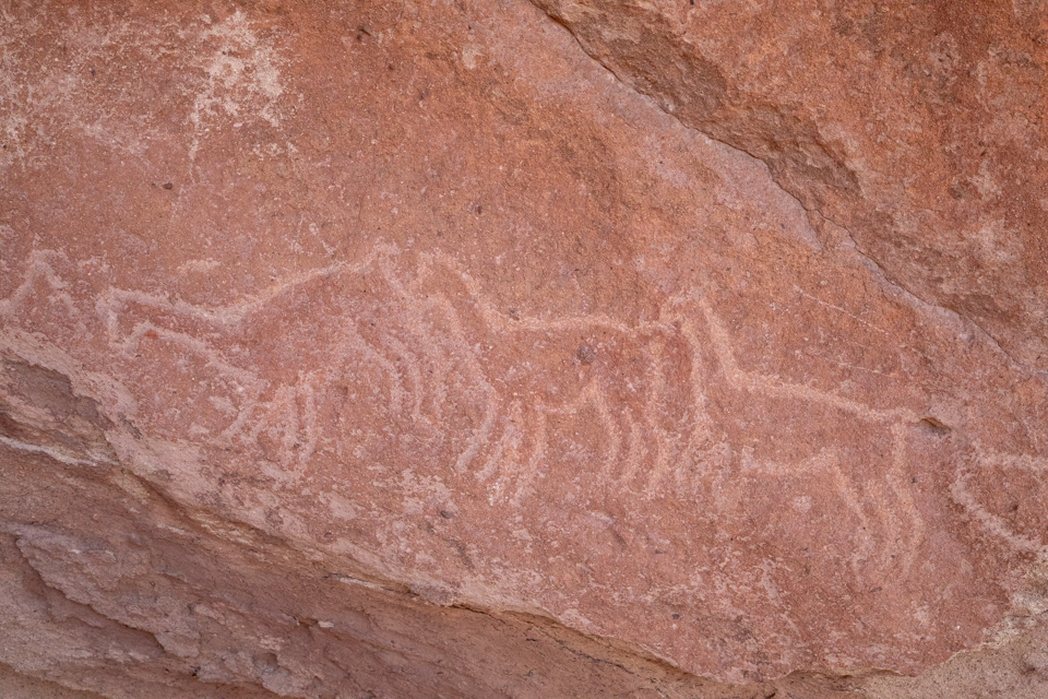Stone Animals in San Pedro, Chile