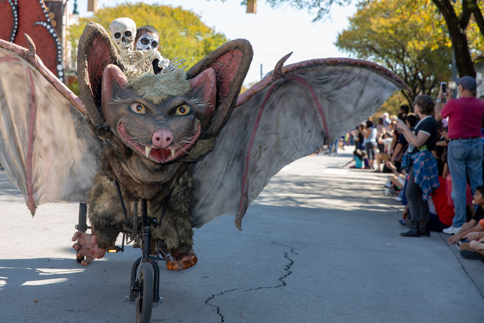 Bike Bat in Austin, Texas