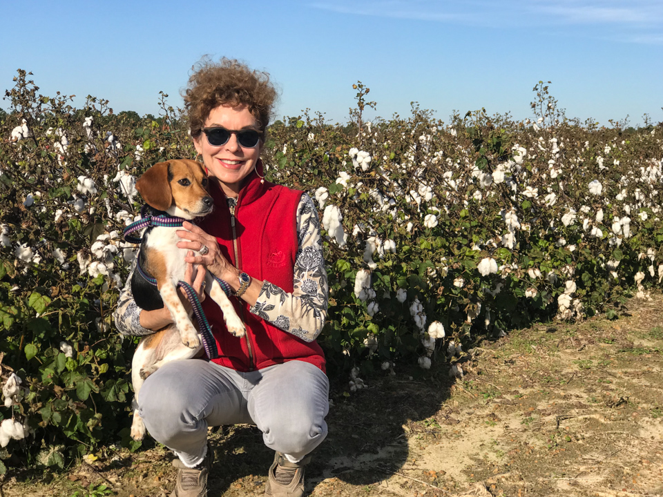 High Cotton in Hawkinsville, Georgia