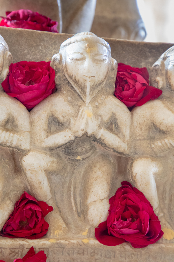 Rose Monk in Jodhpur, India