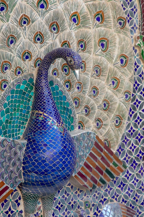 Tile Peacock in Udaipur, India