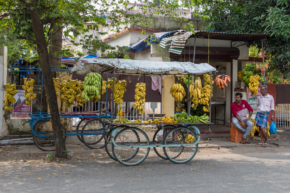 Banana Cart in Cochin, India