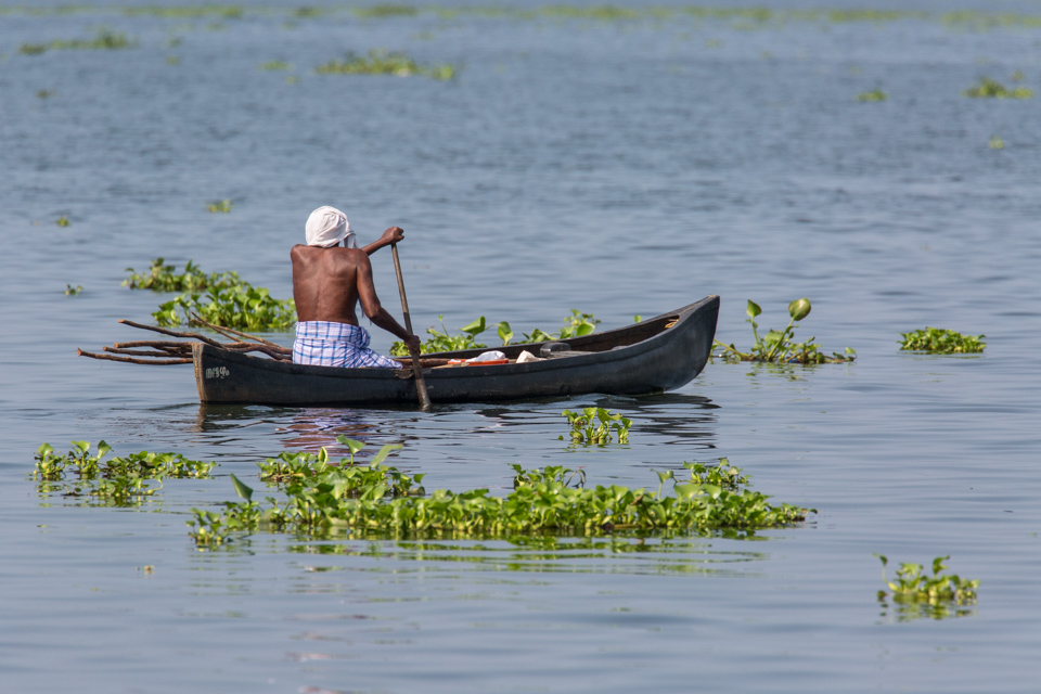 Canoe in Alleppey, India