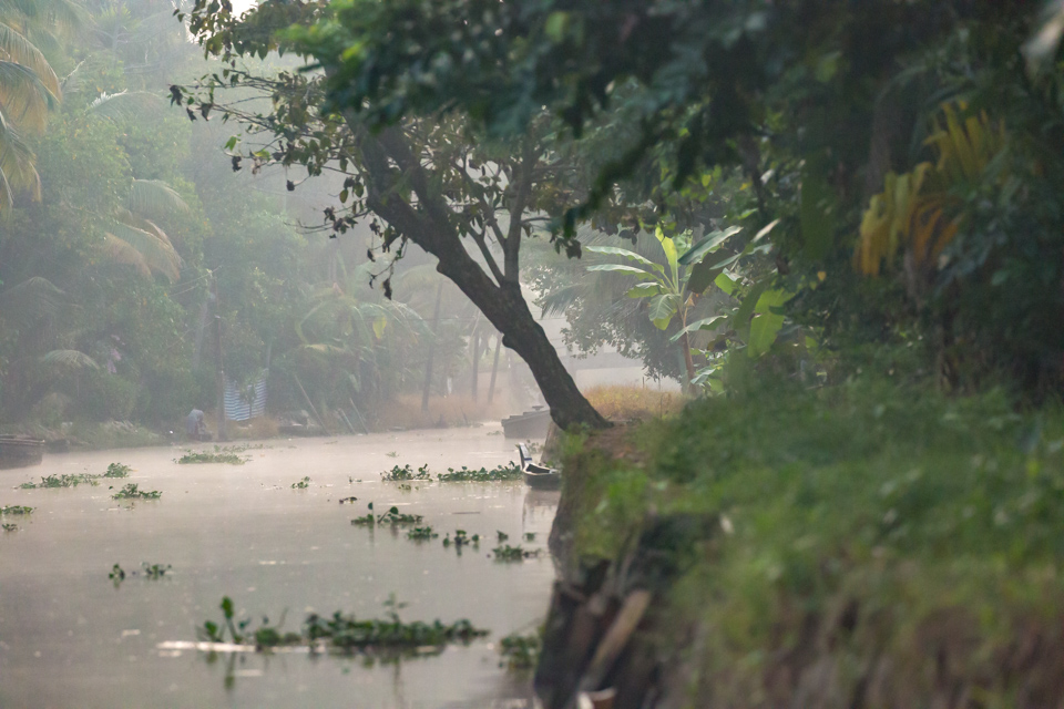 Morning Mist in Alleppey, India