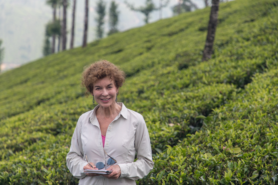 In the Tea in Munnar, India