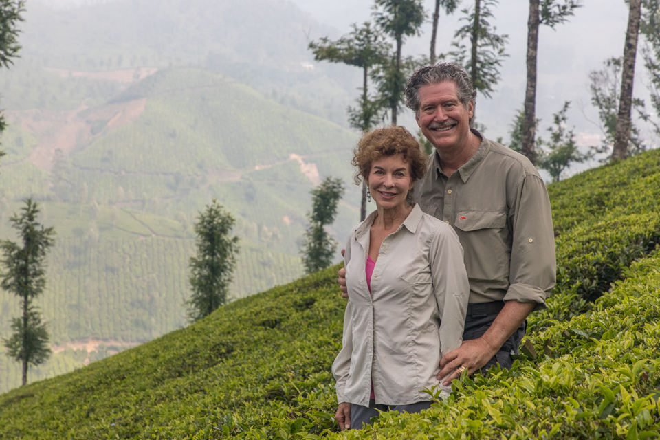 In the Tea Fields in Munnar, India