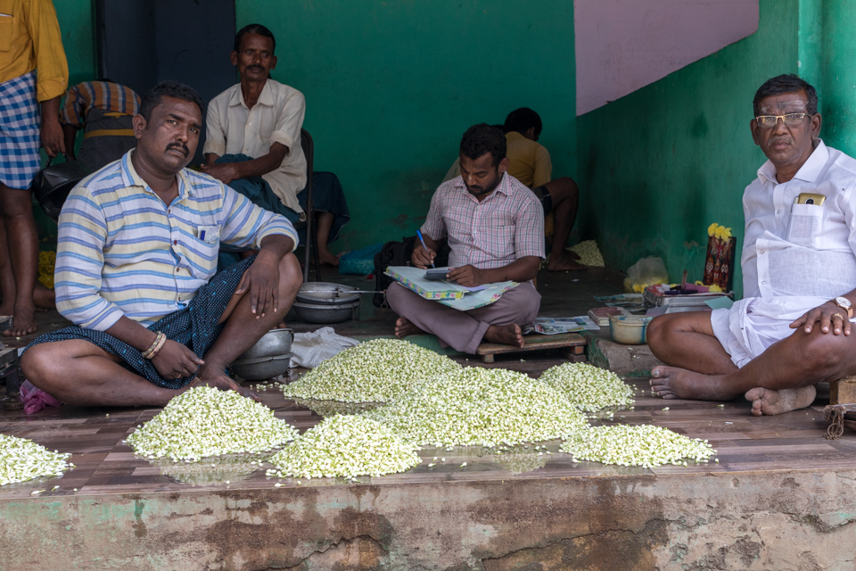 Jasmine Dealers in Madurai, India
