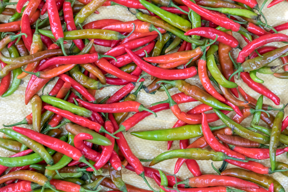 Peppers in Madurai, India