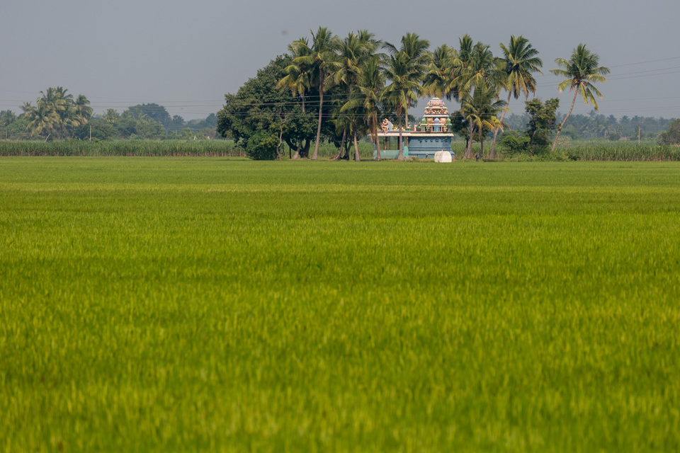 Small Temple in Kumbakonam, India