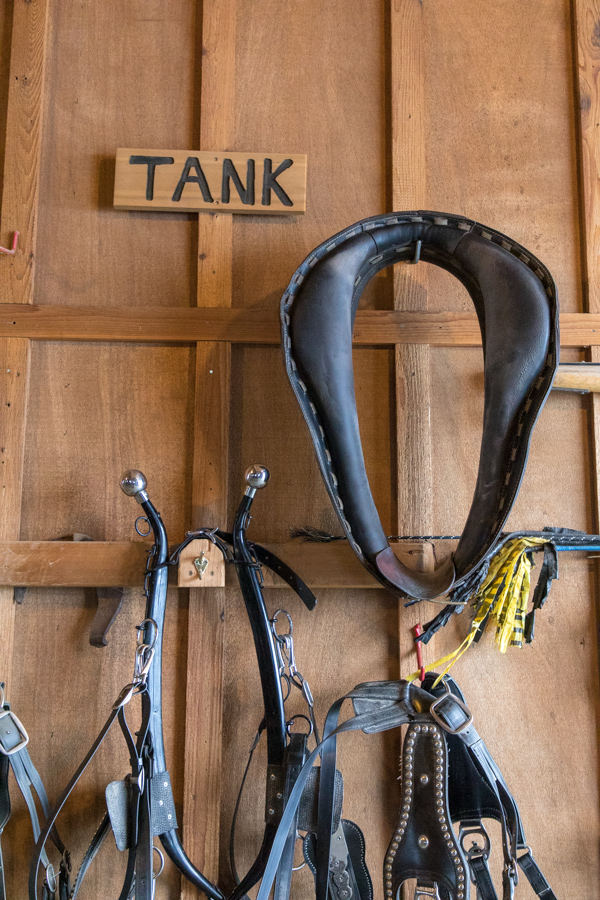 Tank in Devils Thumb, Colorado