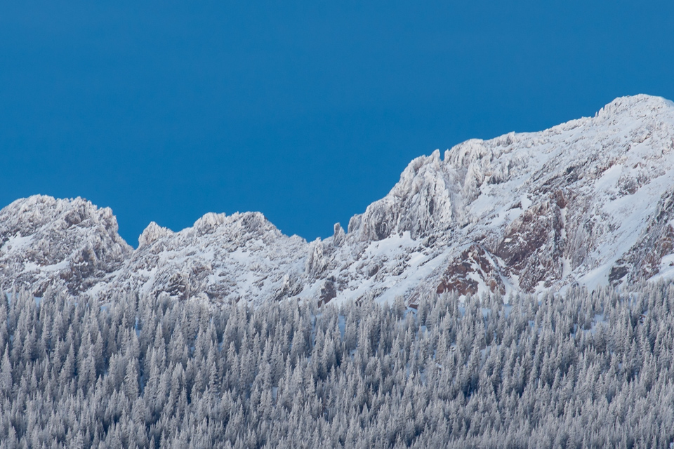 Frosted Trees in Devils Thumb, Colorado
