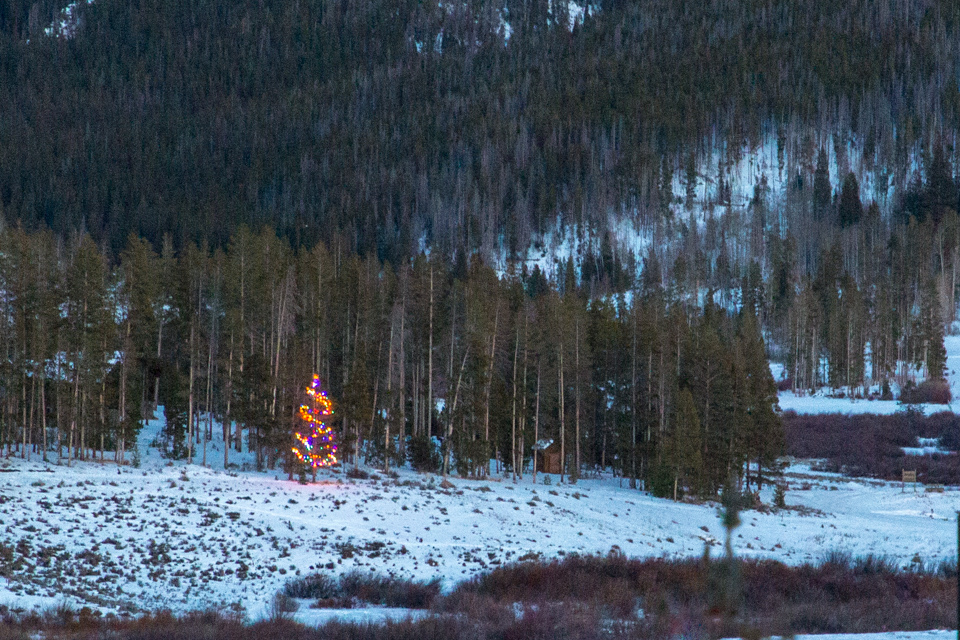 Christmas Tree in Devils Thumb, Colorado