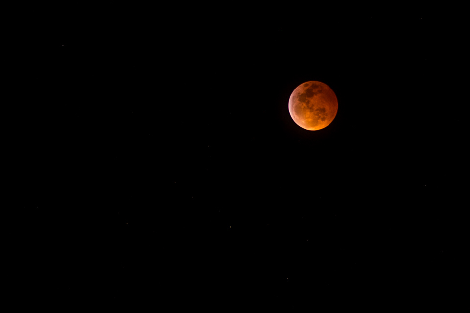Blood Moon in Phoenix, Arizona