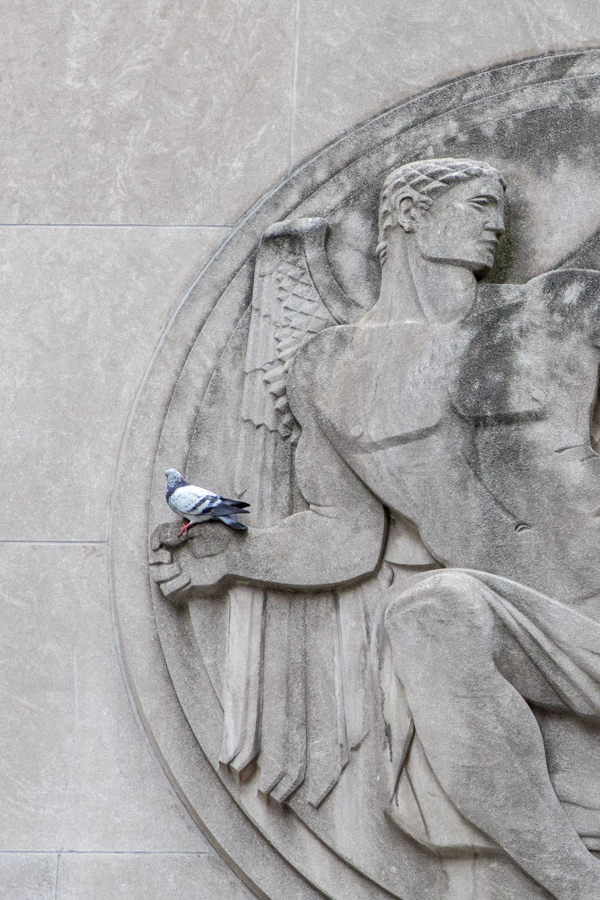 Bird Perch in New York, New York