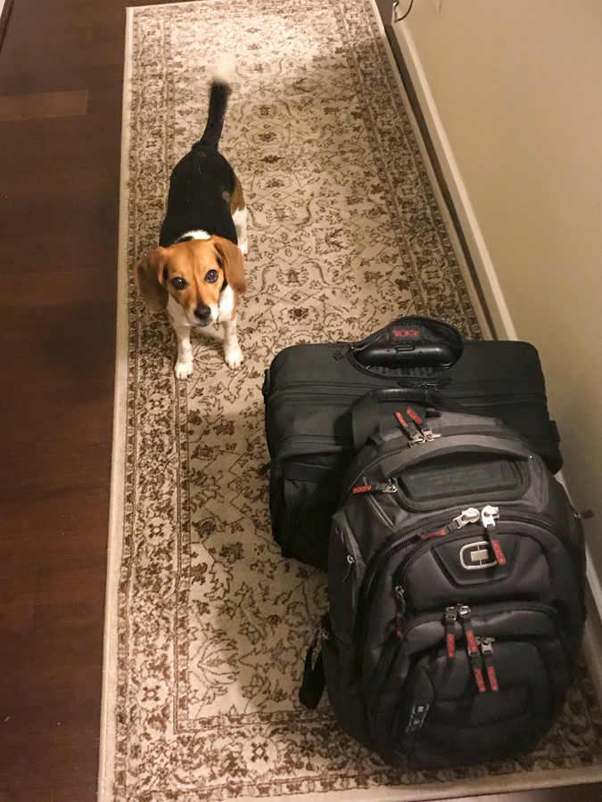 Am I going? in Austin, Texas