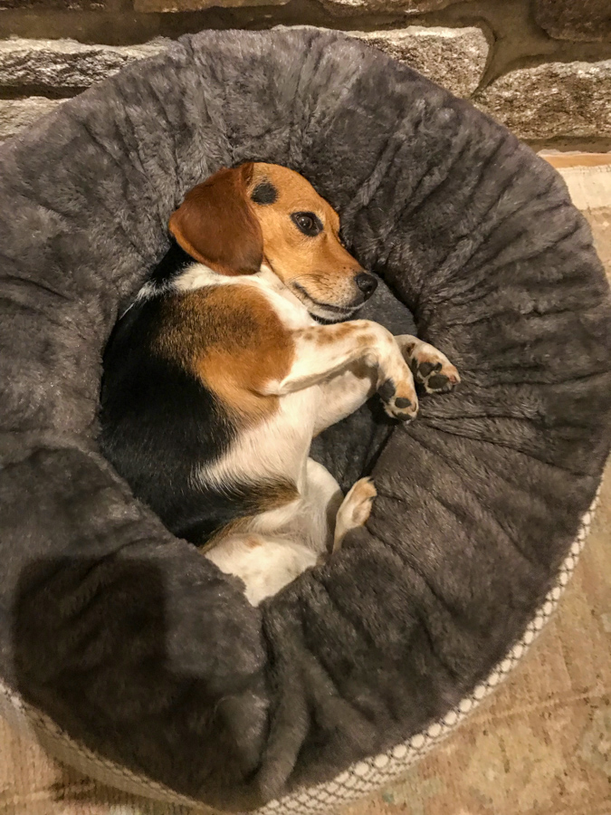 Resting in Austin, Texas