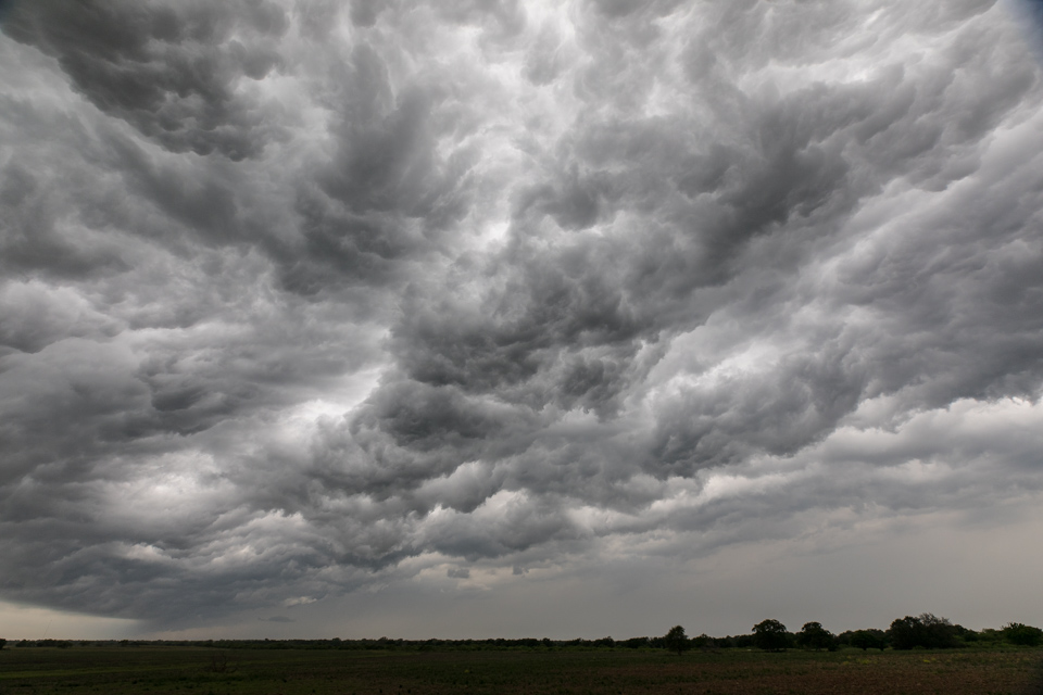 Storm Clouds in Palmetto State Park, Texas