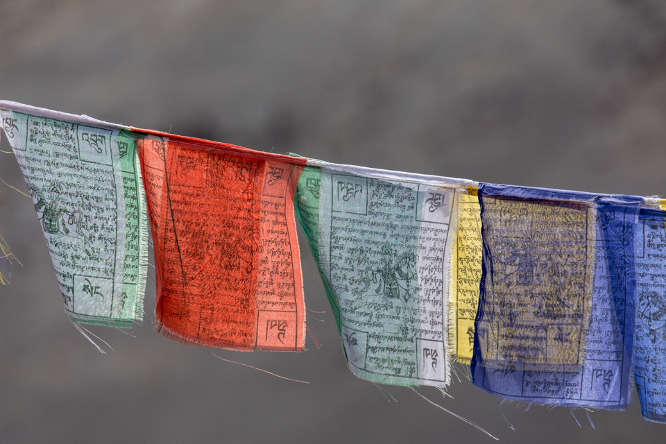 Prayer Flags in Leh, India
