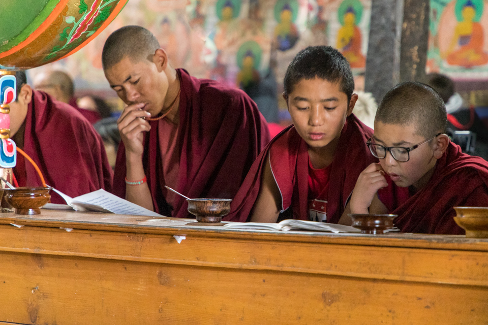 Little Lamas in Leh, India