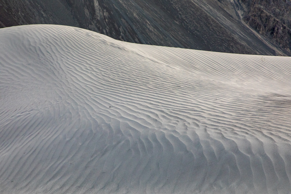 Nubra Dunes in Nubra Valley, India
