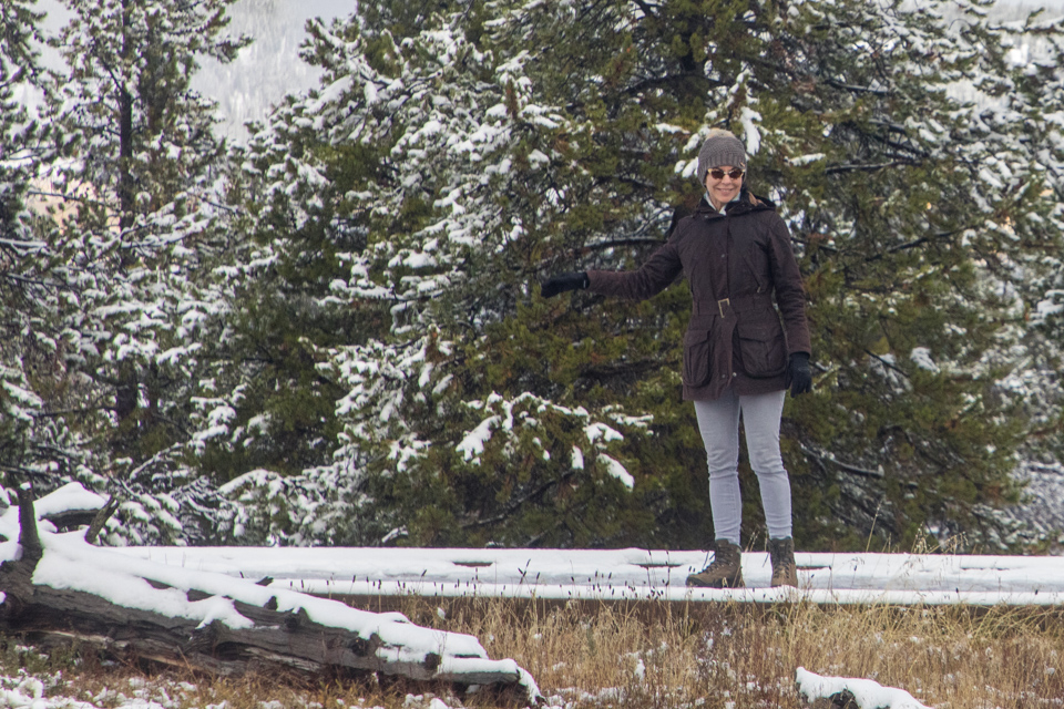 Watching Hot Water in Yellowstone National Park, Wyoming