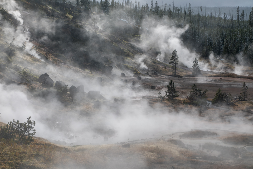Battlefield in Yellowstone National Park, Wyoming