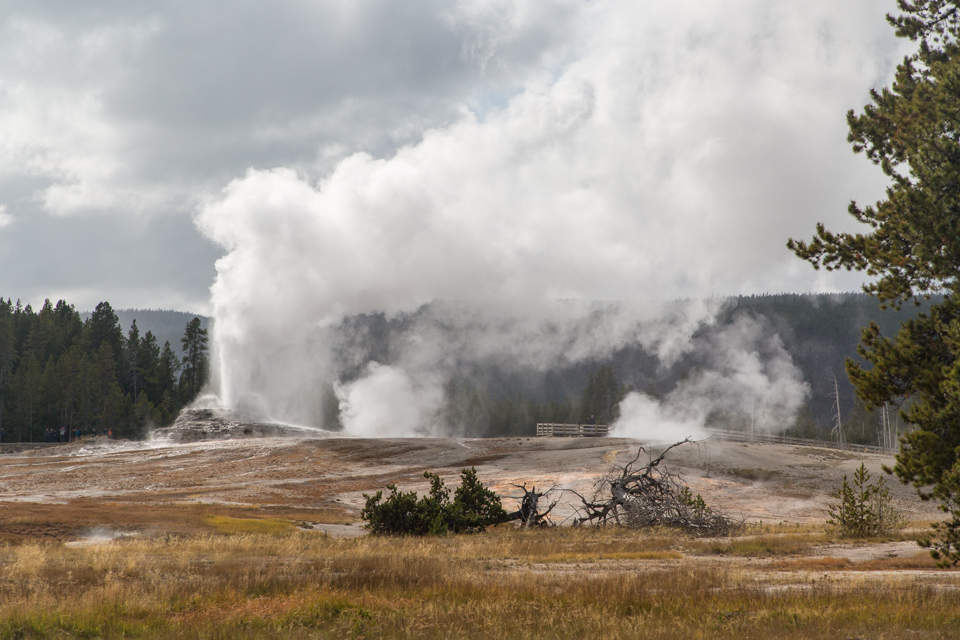 Castle Geyser in Yellowstone National Park, Wyoming
