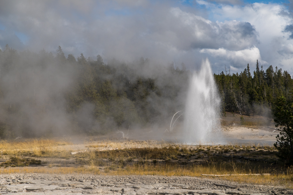 Spa Geyser in Yellowstone National Park, Wyoming