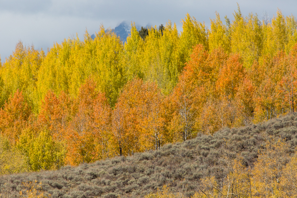 Colorful Hill in Jackson Hole, Wyoming