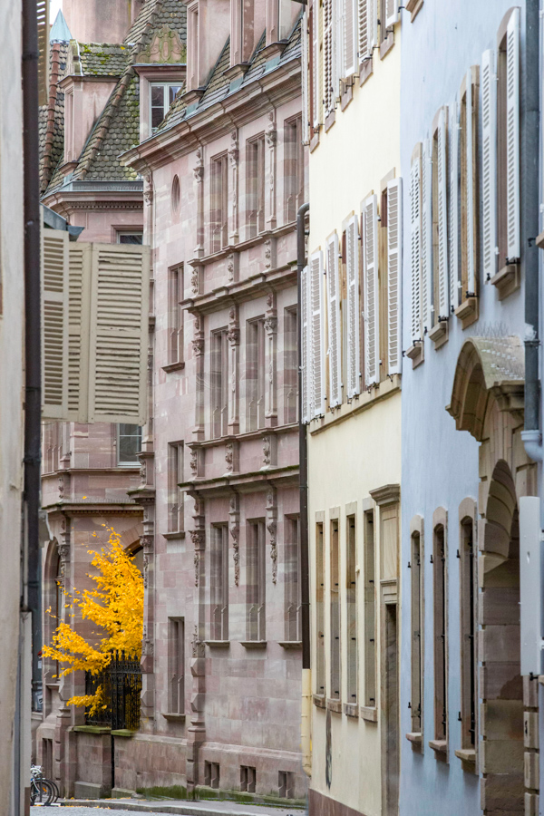Splash of Yellow in Strasbourg, France