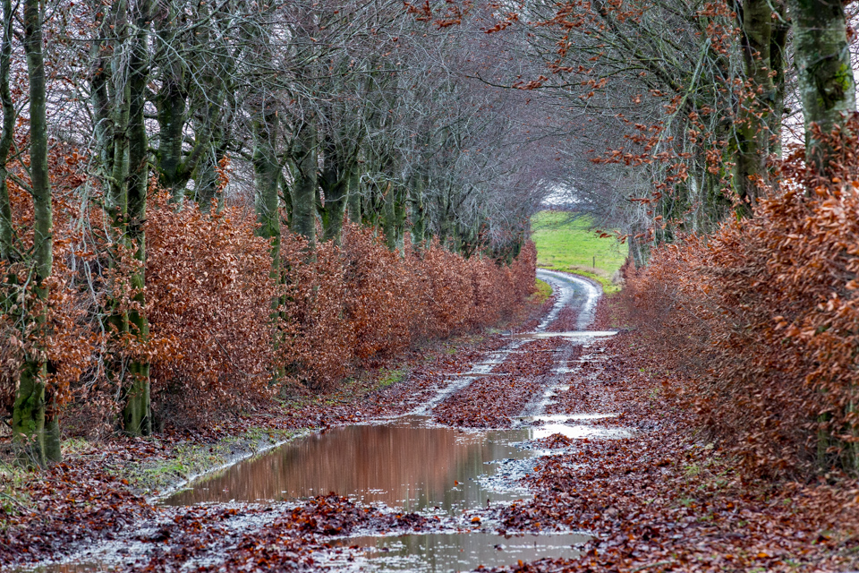 Muddy Lane in Bastogne, Belgium