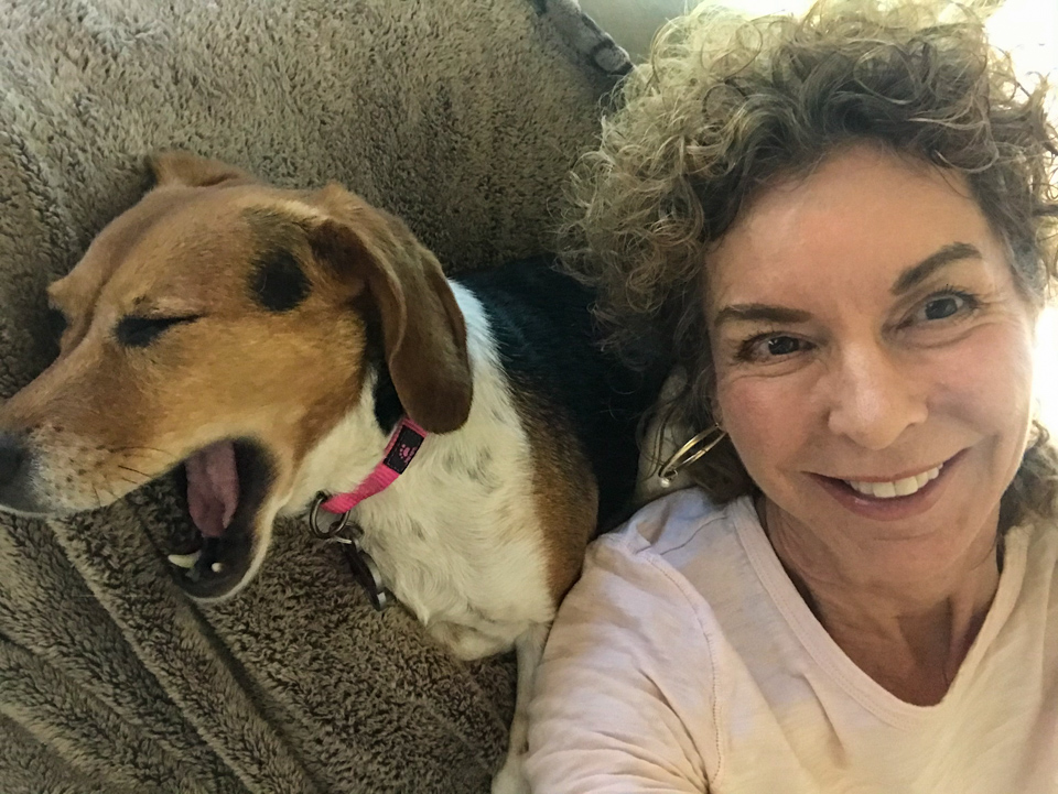 Pup Yawn in Paradise Valley, Arizona
