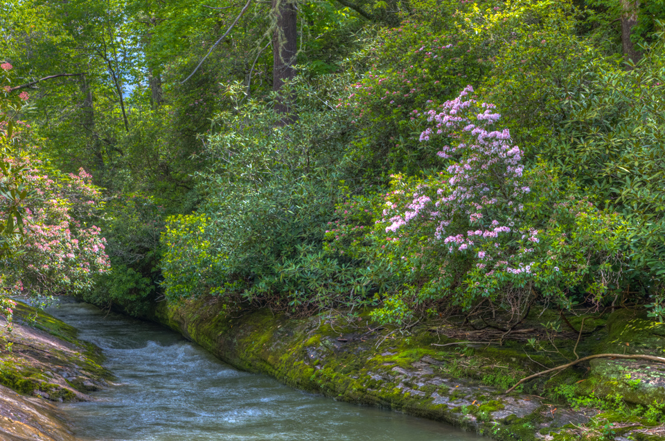 Chattooga Shoot  in Highlands, North Carolina
