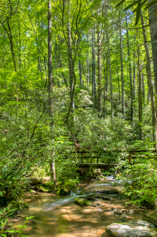 Trail Bridge in Highlands, North Carolina