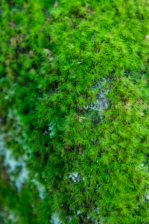 Green Rock in Highlands, North Carolina