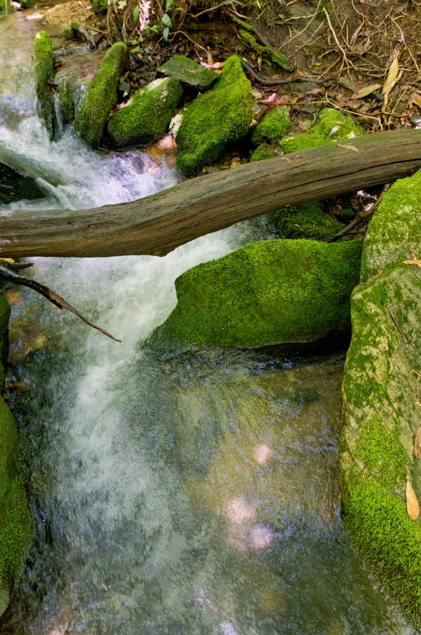 Mountain Creek in Highlands, North Carolina