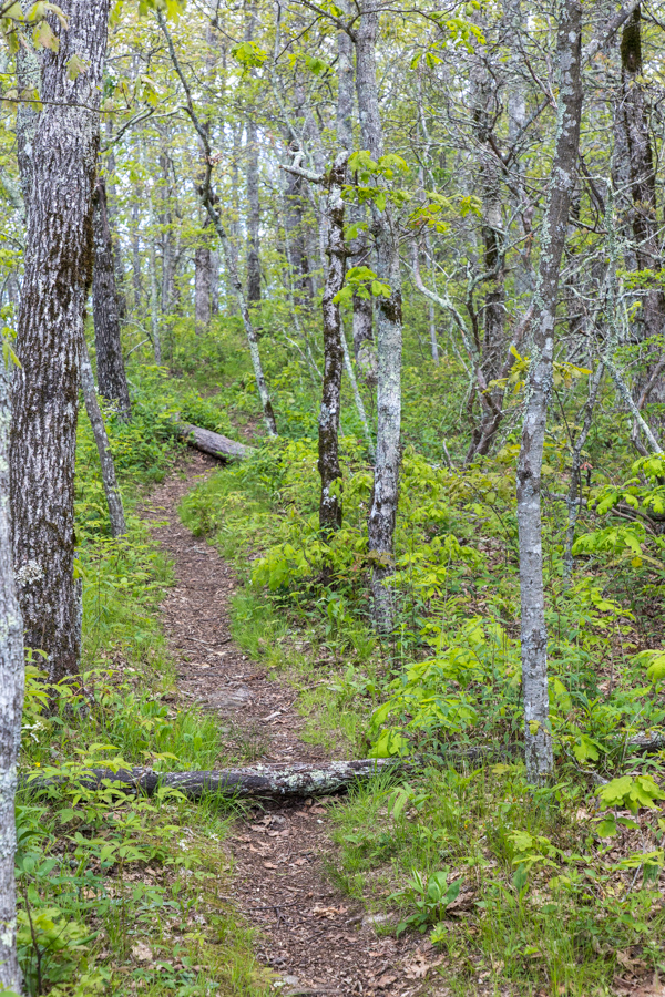 Jones Knob Trail in Highlands, North Carolina