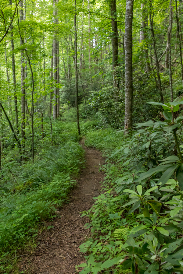 Green Trail in Highlands, North Carolina