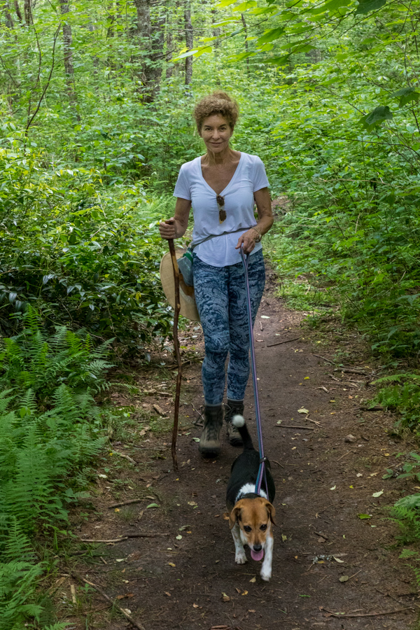 Enjoying the Forest in Highlands, North Carolina