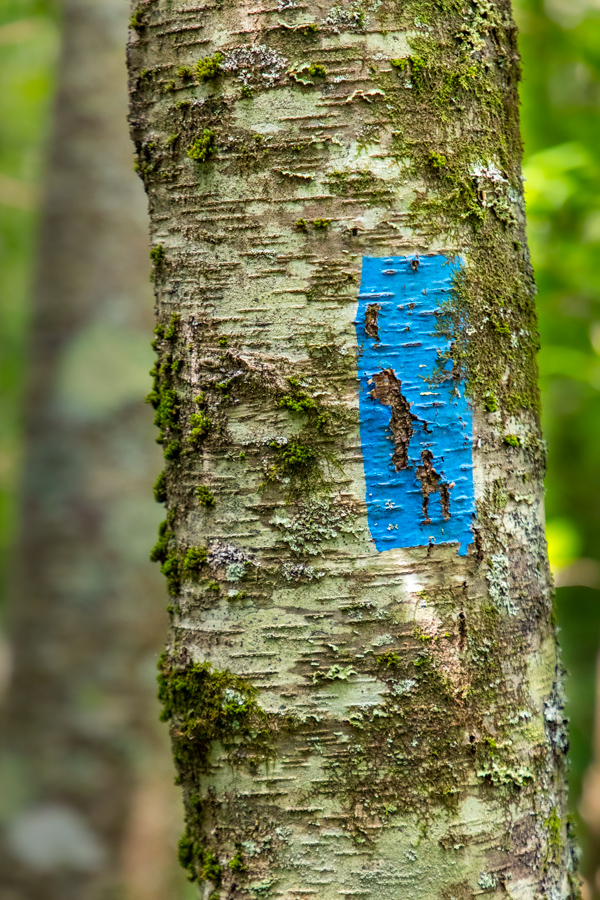 Trail Marker in Highlands, North Carolina