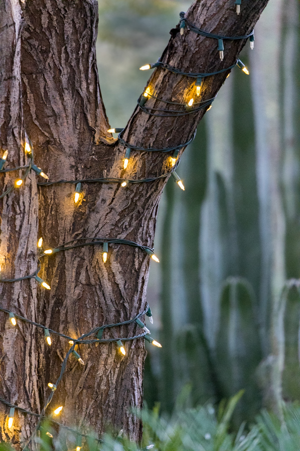 Lights in Phoenix, Arizona