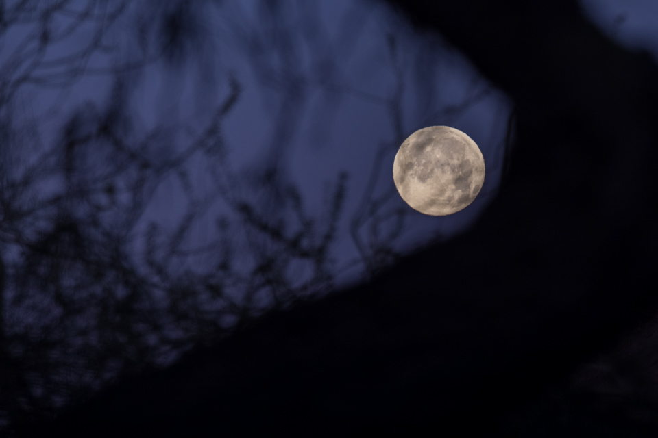 Desert Moon in Phoenix, Arizona