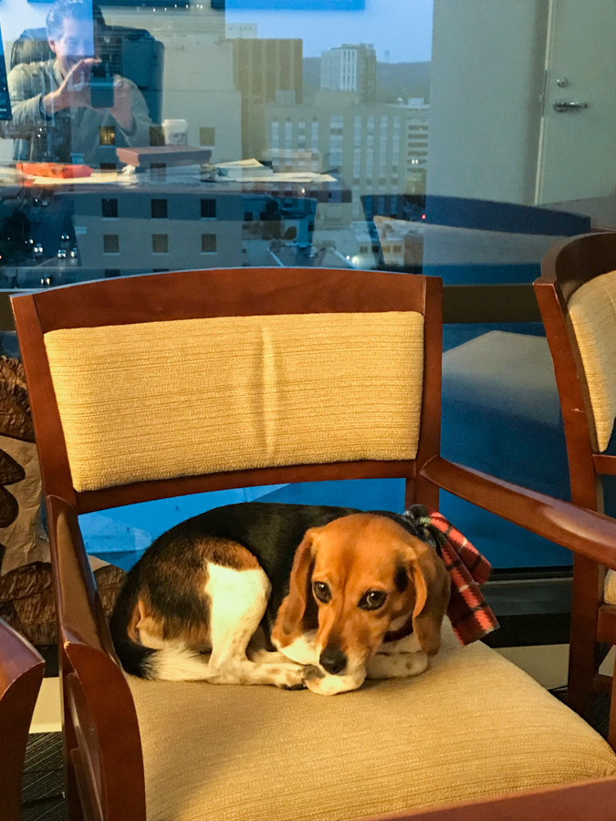 Working with Daddy in Austin, Texas