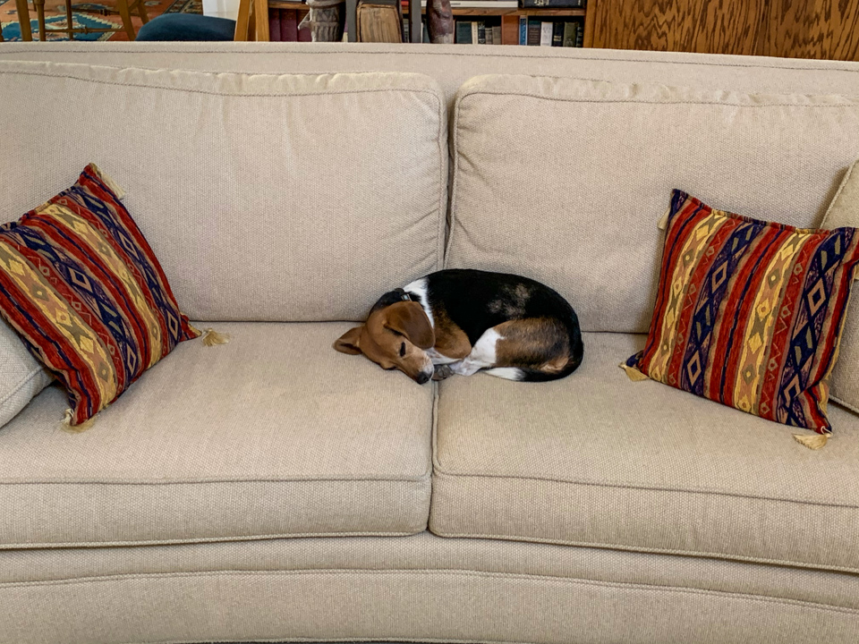 Napping At Grandma's in Phoenix, Arizona