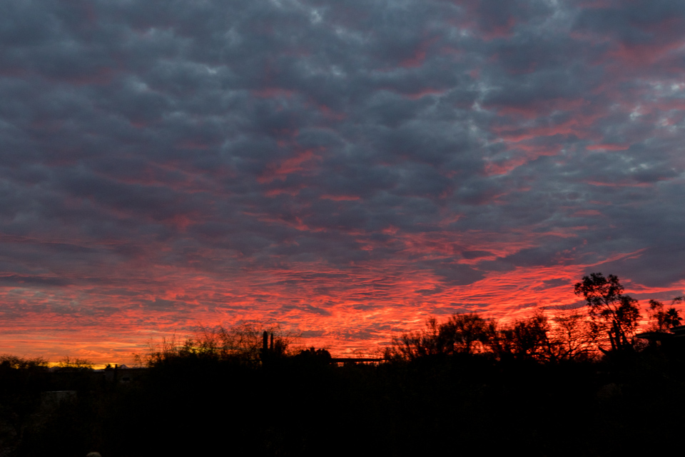 Arizona Sunset in Phoenix, Arizona
