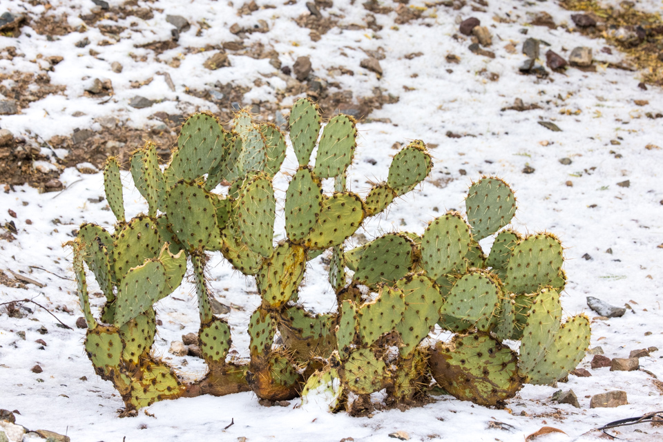 White Desert in Paradise Valley, Arizona