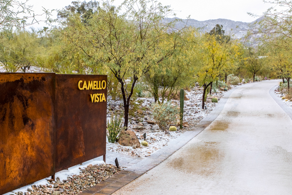 Snow Day in Paradise Valley, Arizona