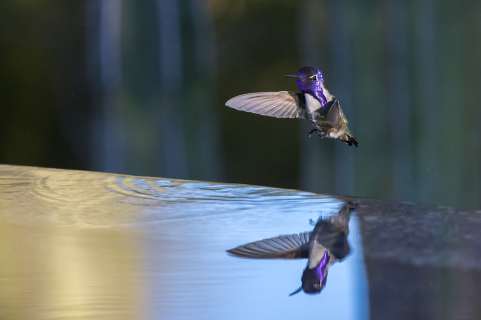 Takeing Off in Phoenix, Arizona