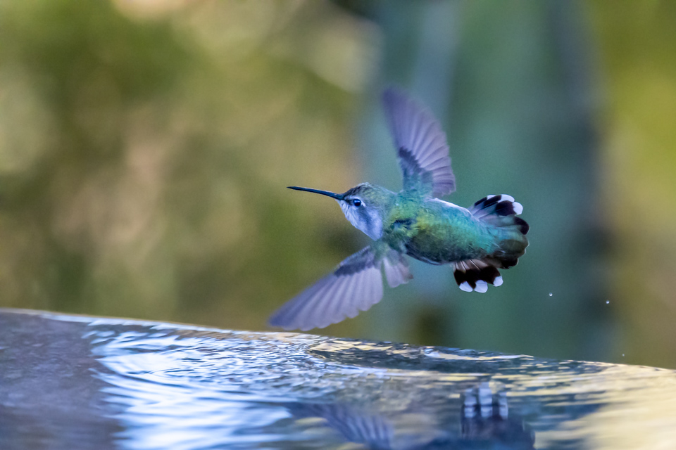 Taking Off in Phoenix, Arizona